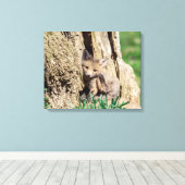 20x16 Fox Kit in de Hudson-vallei Canvas Afdruk (Insitu (Houten vloer))