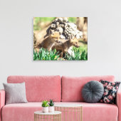 20x16 Fox Kits in de Hudson-vallei Canvas Afdruk (Insitu (Woonkamer))