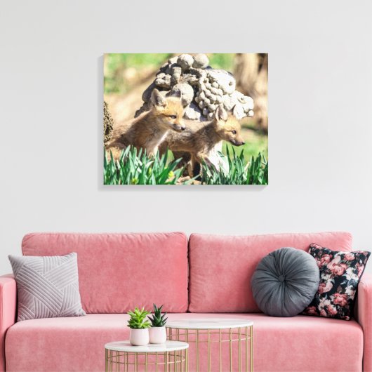 20x16 Fox Kits in de Hudson-vallei Canvas Afdruk (Insitu (Woonkamer))