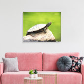 20x16 gekleurde schildpad op een log canvas afdruk (Insitu (Woonkamer))