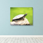 20x16 gekleurde schildpad op een log canvas afdruk (Insitu (Houten vloer))