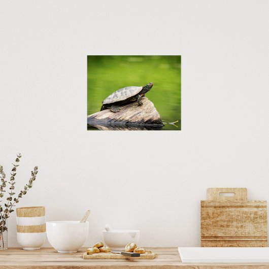 20x16 gekleurde schildpad op een log poster (Keuken)