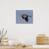 20x16 Great Blue Heron in flight Poster (Keuken)