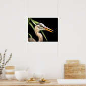 20x16 Great Blue Heron Poster (Keuken)