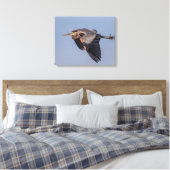 20x16 Great Blue Heron tijdens de vlucht Canvas Afdruk (Insitu (Slaapkamer))