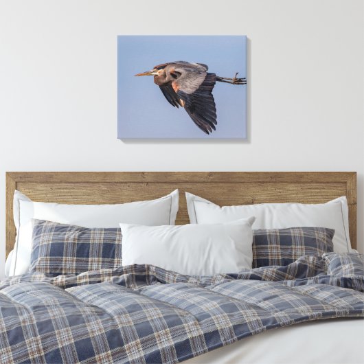 20x16 Great Blue Heron tijdens de vlucht Canvas Afdruk (Insitu (Slaapkamer))