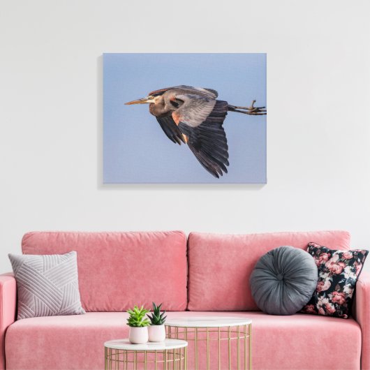 20x16 Great Blue Heron tijdens de vlucht Canvas Afdruk (Insitu (Woonkamer))