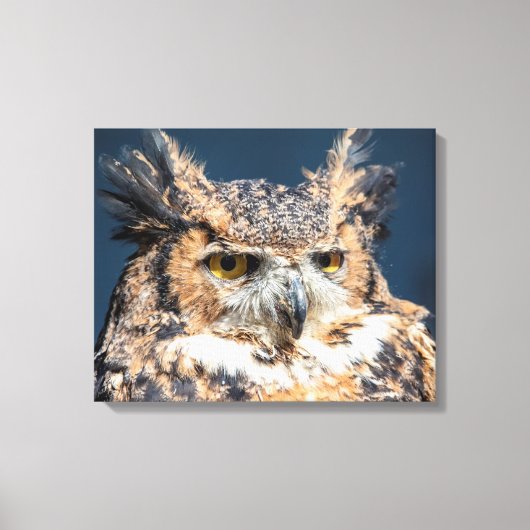 20x16 Great Horned Owl Portret Canvas Afdruk (Voorkant)
