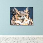 20x16 Great Horned Owl Portret Canvas Afdruk (Insitu (Houten vloer))