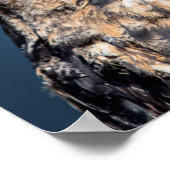 20x16 Great Horned Owl Portret Poster (Hoek)