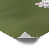 20x16 Green Heron op een logboek Poster (Hoek)