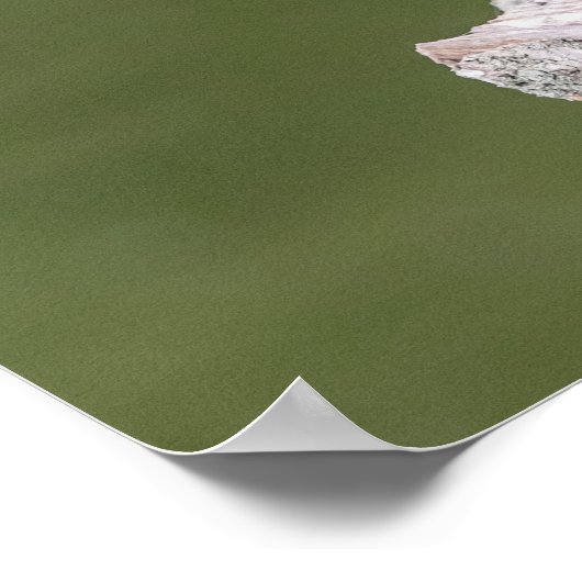 20x16 Green Heron op een logboek Poster (Hoek)