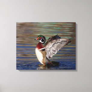 20x16 Hout Duck Canvas Afdruk