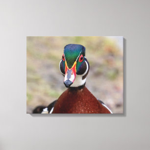 20x16 Hout Duck Canvas Afdruk