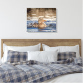 20x16 Mallard Duck in Downing Park Canvas Afdruk (Insitu (Slaapkamer))