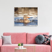 20x16 Mallard Duck in Downing Park Canvas Afdruk (Insitu (Woonkamer))