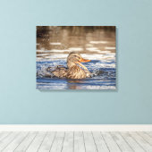 20x16 Mallard Duck in Downing Park Canvas Afdruk (Insitu (Houten vloer))