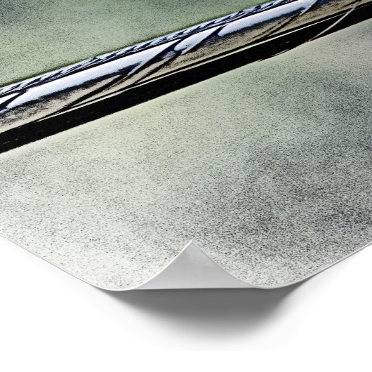 20x16 onvolgroeide Red Tailed Hawk Poster (Hoek)