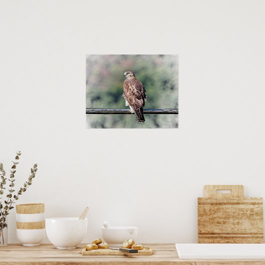 20x16 onvolgroeide Red Tailed Hawk Poster (Keuken)