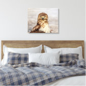 20x16 onvolgroeide Rode Hawk op de grond Canvas Afdruk (Insitu (Slaapkamer))