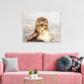 20x16 onvolgroeide Rode Hawk op de grond Canvas Afdruk (Insitu (Woonkamer))