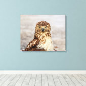 20x16 onvolgroeide Rode Hawk op de grond Canvas Afdruk (Insitu (Houten vloer))