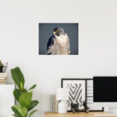 20x16 Peregrine Falcon langs de Hudson rivier Poster (Thuiskantoor)