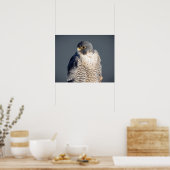 20x16 Peregrine Falcon langs de Hudson rivier Poster (Keuken)