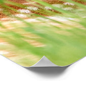 20x16 Portret van een Fawn (met witte staart) Poster (Hoek)