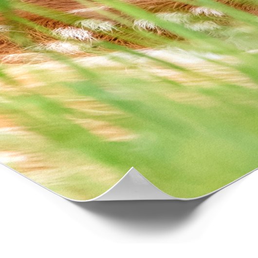 20x16 Portret van een Fawn (met witte staart) Poster (Hoek)