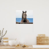 20x16 Portret van een paard Poster (Keuken)