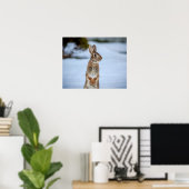 20x16 Rabbit in the snow Poster (Thuiskantoor)