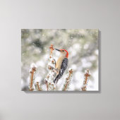 20x16 Red-bellied Woodpecker in de sneeuw Canvas Afdruk (Voorkant)