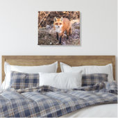 20x16 Red Fox in de buurt en persoonlijk Canvas Afdruk (Insitu (Slaapkamer))