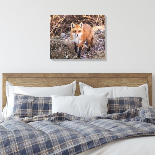 20x16 Red Fox in de buurt en persoonlijk Canvas Afdruk (Insitu (Slaapkamer))