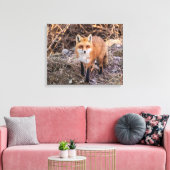 20x16 Red Fox in de buurt en persoonlijk Canvas Afdruk (Insitu (Woonkamer))