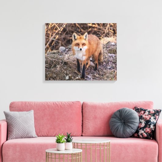 20x16 Red Fox in de buurt en persoonlijk Canvas Afdruk (Insitu (Woonkamer))