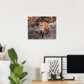 20x16 Red Fox in de buurt en persoonlijk Poster (Thuiskantoor)