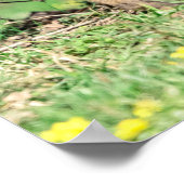 20x16 Red Fox Kits die spelen Poster (Hoek)