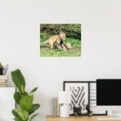 20x16 Red Fox Kits die spelen Poster (Thuiskantoor)