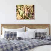 20x16 Red schuurde Hawk in een boom Canvas Afdruk (Insitu (Slaapkamer))