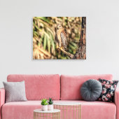 20x16 Red schuurde Hawk in een boom Canvas Afdruk (Insitu (Woonkamer))