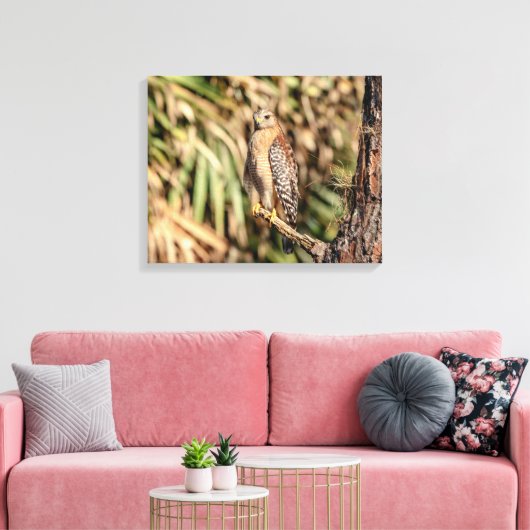 20x16 Red schuurde Hawk in een boom Canvas Afdruk (Insitu (Woonkamer))