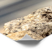 20x16 Red schuurde Hawk op een rots Poster (Hoek)