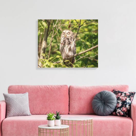 20x16 Slaapzame Gestreepte Bosuil Canvas Afdruk (Insitu (Woonkamer))