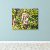 20x16 Slaapzame Gestreepte Bosuil Canvas Afdruk (Insitu (Houten vloer))