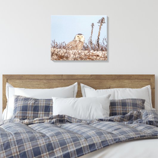 20x16 Snowy owl op het strand Canvas Afdruk (Insitu (Slaapkamer))