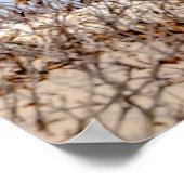 20x16 Snowy owl op het strand Poster (Hoek)