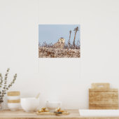 20x16 Snowy owl op het strand Poster (Keuken)