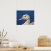 20x16 White Canadian Goose Poster (Keuken)